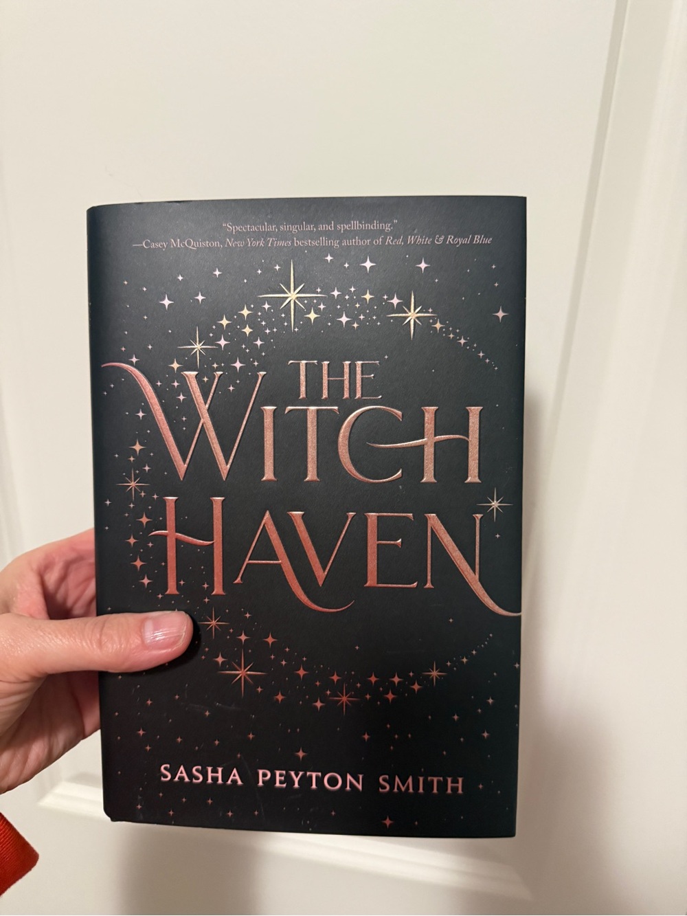 The Witch Haven - by Sasha Peyton Smith